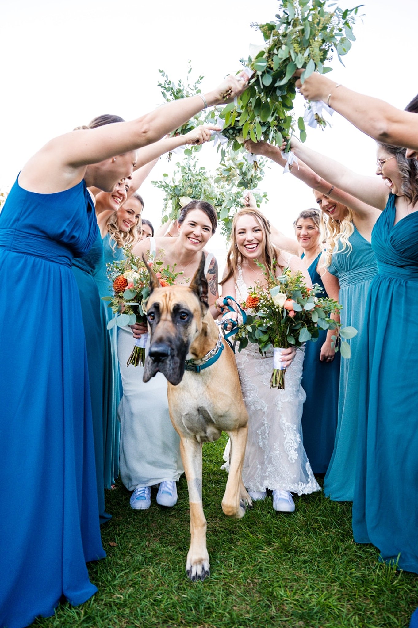 brides running under bridesmaids bouquets with their pup at Lake Pearl Wedding